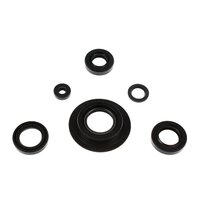 Engine oil seal kit 6 pieces OSL-105