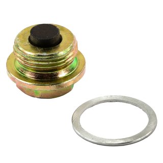 Oil drain plug magnetic M22 x 1.5 mm with sealing ring