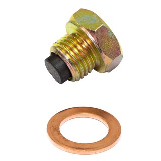 Magnetic Oil Drain Plug with Washer Triumph Sprint 955 ST 2004 CC 
