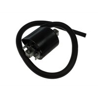 Ignition coil completely IGN-310