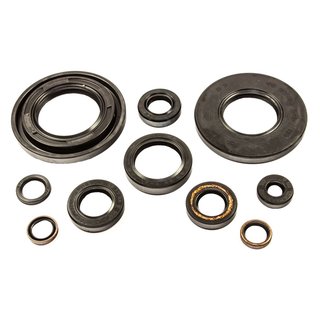 Engine oil seal kit 10 pieces