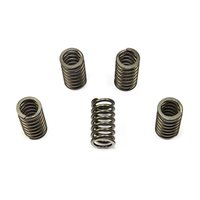 Clutch springs set of 6 pieces reinforced EBC CSK167
