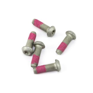 Screw set 5 pieces for front brake disc