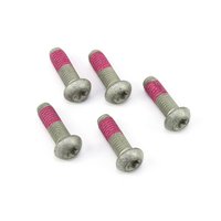 Screw set 5 pieces for front brake disc
