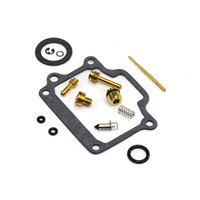 Carburetor Repair Kit CAB-DS16