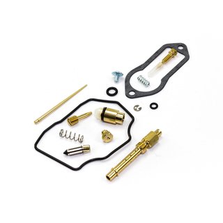 Carburetor Repair Kit CAB-DY13