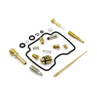 Carburetor Repair Kit CAB-DY29