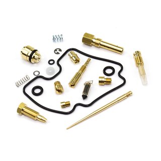 Carburetor Repair Kit CAB-DY32