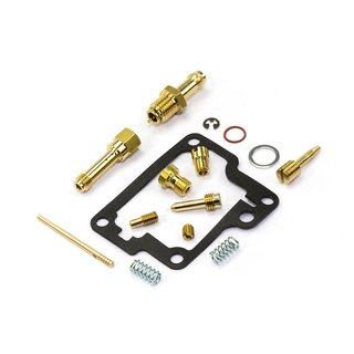 Carburetor Repair Kit CAB-DS01