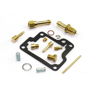 Carburetor Repair Kit CAB-DS01