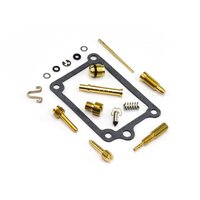 Carburetor Repair Kit CAB-DS02