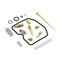 Carburetor Repair Kit CAB-DS06
