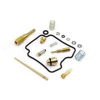 Carburetor Repair Kit CAB-DS13