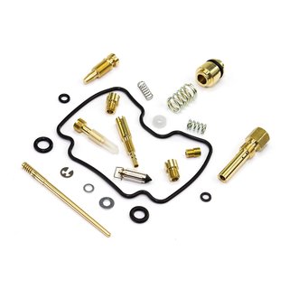 Carburetor Repair Kit CAB-DS14