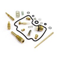 Carburetor Repair Kit CAB-DS15