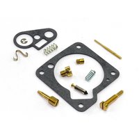 Carburetor Repair Kit CAB-DY04