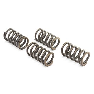 Clutch springs set of 4 pieces reinforced EBC CSK004