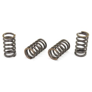 Clutch springs set of 4 pieces reinforced EBC CSK004
