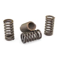 Clutch springs set of 4 pieces reinforced EBC CSK012
