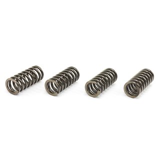 Clutch springs set of 4 pieces reinforced EBC CSK212