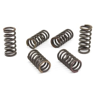 Clutch springs set of 6 pieces reinforced EBC CSK002