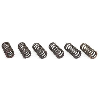Clutch springs set of 6 pieces reinforced EBC CSK006