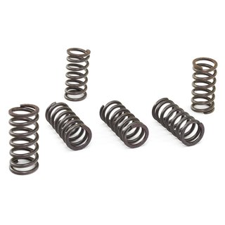 Clutch springs set of 6 pieces reinforced EBC CSK006