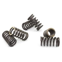 Clutch springs set of 6 pieces reinforced EBC CSK009