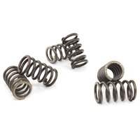 Clutch springs set of 6 pieces reinforced EBC CSK010