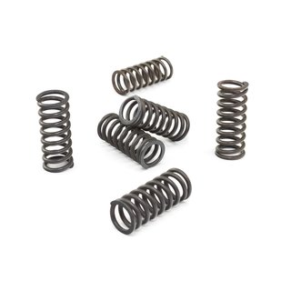Clutch springs set of 6 pieces reinforced EBC CSK014
