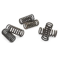 Clutch springs set of 6 pieces reinforced EBC CSK014