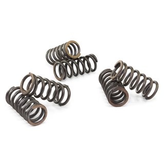 Clutch springs set of 6 pieces reinforced EBC CSK015