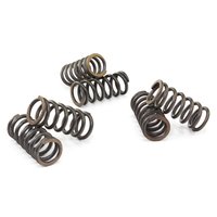 Clutch springs set of 6 pieces reinforced EBC CSK015