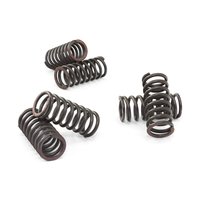 Clutch springs set of 6 pieces reinforced EBC CSK029