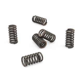 Clutch springs set of 6 pieces reinforced EBC CSK034