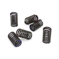 Clutch springs set of 6 pieces reinforced EBC CSK041