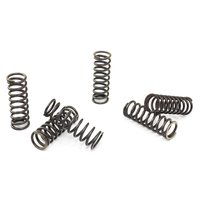 Clutch springs set of 6 pieces reinforced EBC CSK043