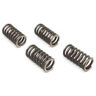 Clutch springs set of 4 pieces reinforced EBC CSK047