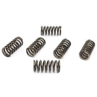 Clutch springs set of 6 pieces reinforced EBC CSK080