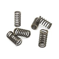Clutch springs set of 6 pieces reinforced EBC CSK080