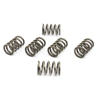 Clutch springs set of 6 pieces reinforced EBC CSK089