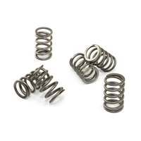 Clutch springs set of 6 pieces reinforced EBC CSK089