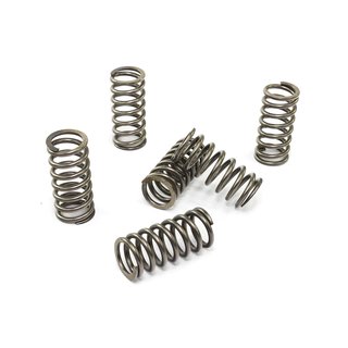 Clutch springs set of 6 pieces reinforced EBC CSK104