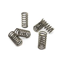 Clutch springs set of 6 pieces reinforced EBC CSK104