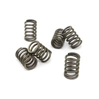 Clutch springs set of 6 pieces reinforced EBC CSK114