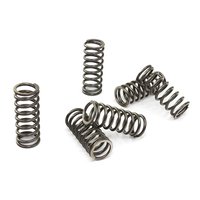 Clutch springs set of 6 pieces reinforced EBC CSK122