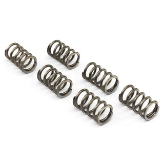 Clutch springs set of 6 pieces reinforced EBC CSK130