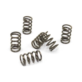 Clutch springs set of 6 pieces reinforced EBC CSK130