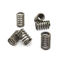 Clutch springs set of 6 pieces reinforced EBC CSK131