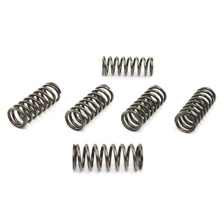 Clutch springs set of 6 pieces reinforced EBC CSK133